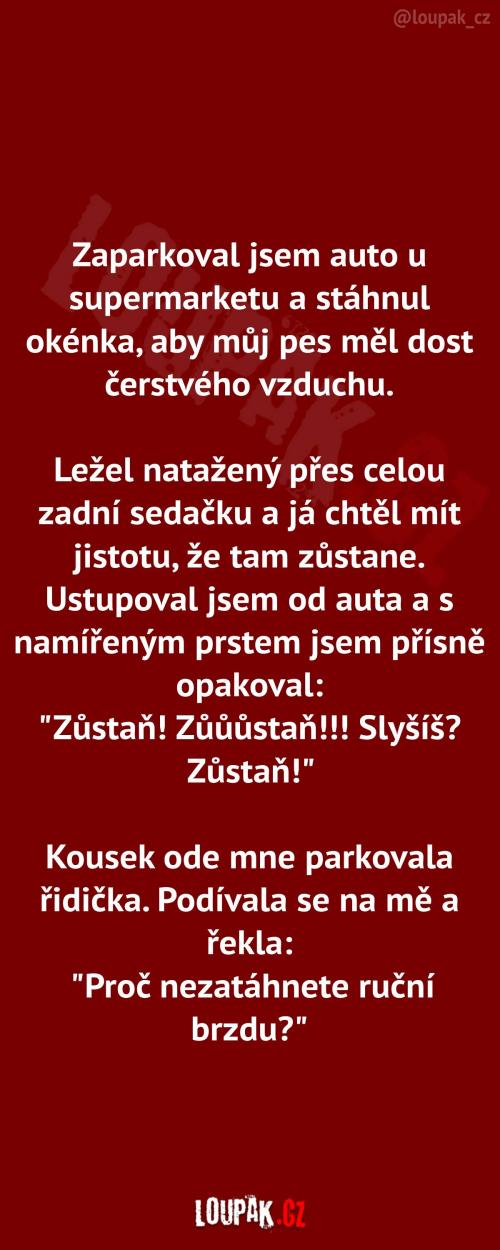 Musel jsem psa pořádně upozornit