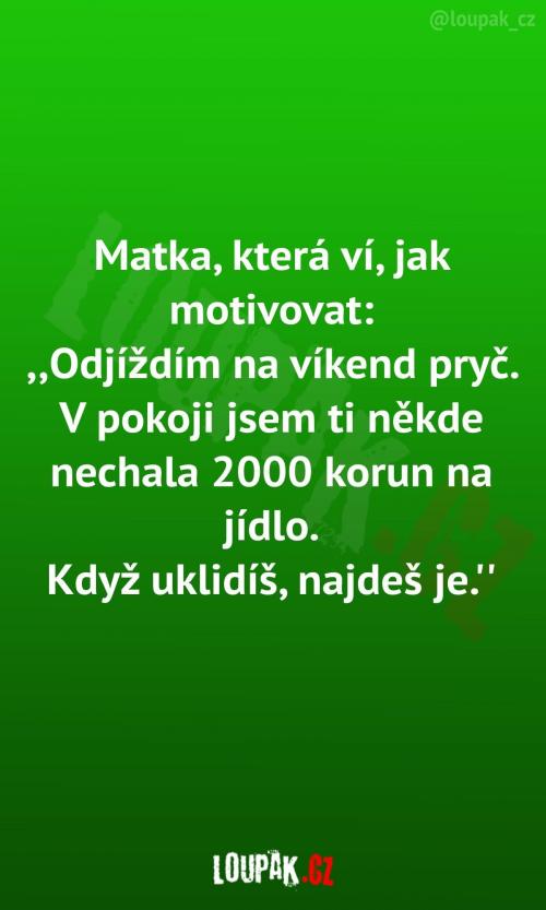  Správná matka motivátorka 
