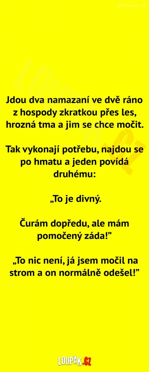 Dlouhá cesta z hospody