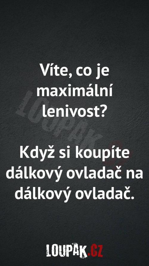 Co je maximální lenivost