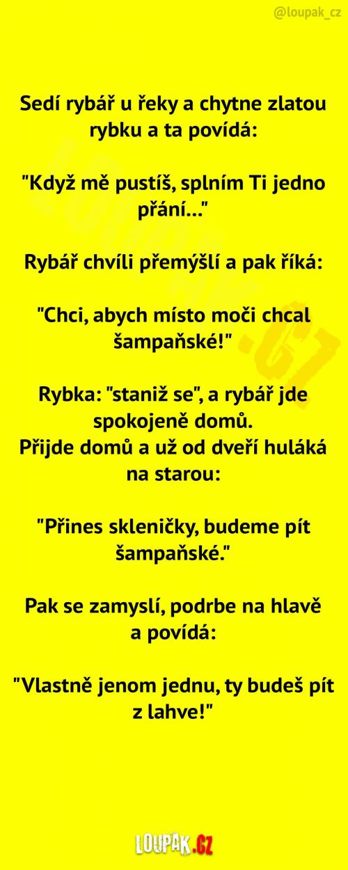 Zlatá rybka mu splnila přání...