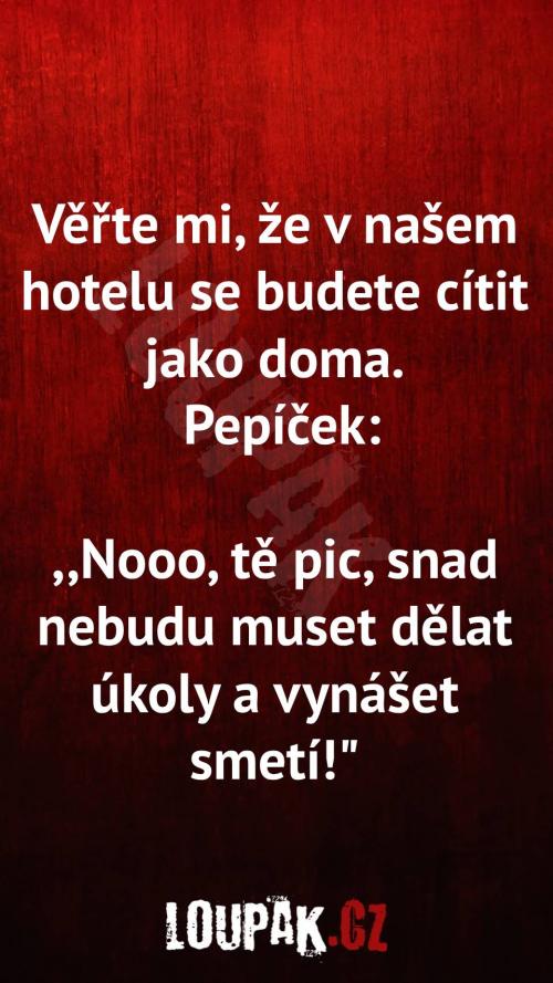  Proč se budou cítit jako doma v hotelu 