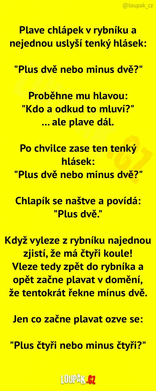 Plave chlápek v rybníku, když vtom...