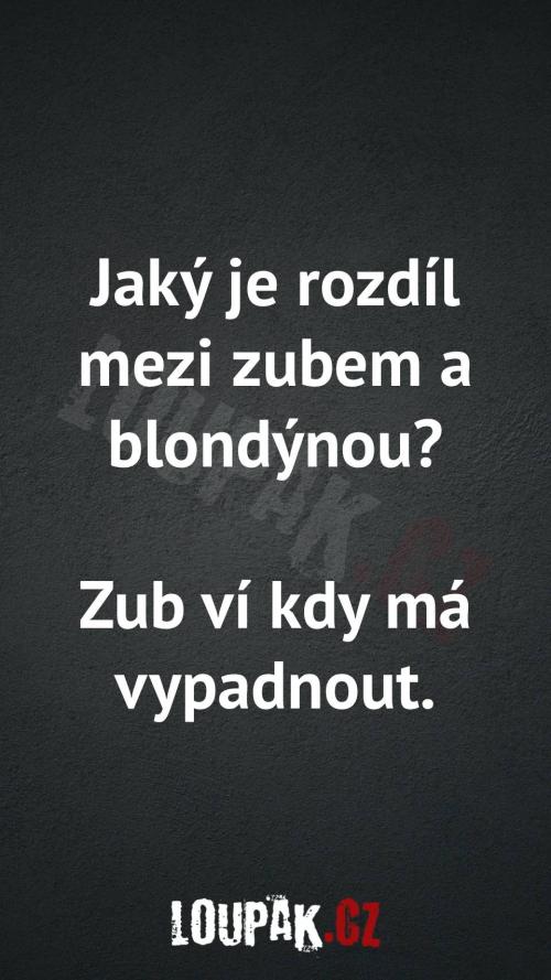 Rozdíl mezi zubem a blondýnkou? Rozdíl mezi zubem a blondýnkou?