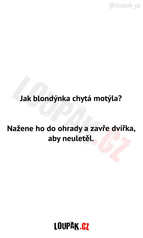  Jak blondýnka chytá motýla 