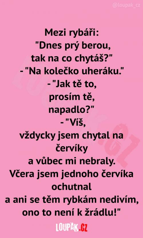Pánovi myšlenkové pochody mě udivují