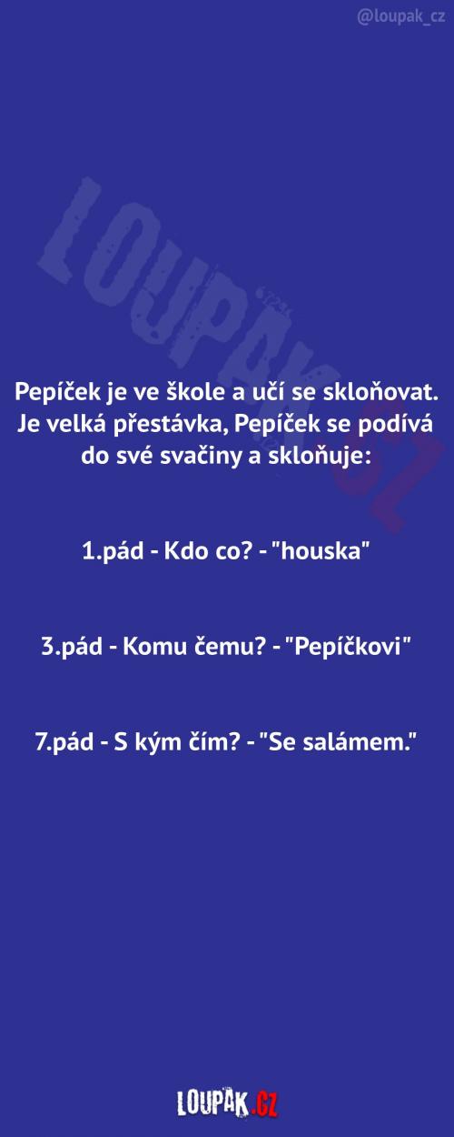 Pepíčkové skloňování