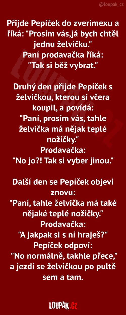  Pepíček si kupuje želvičku 