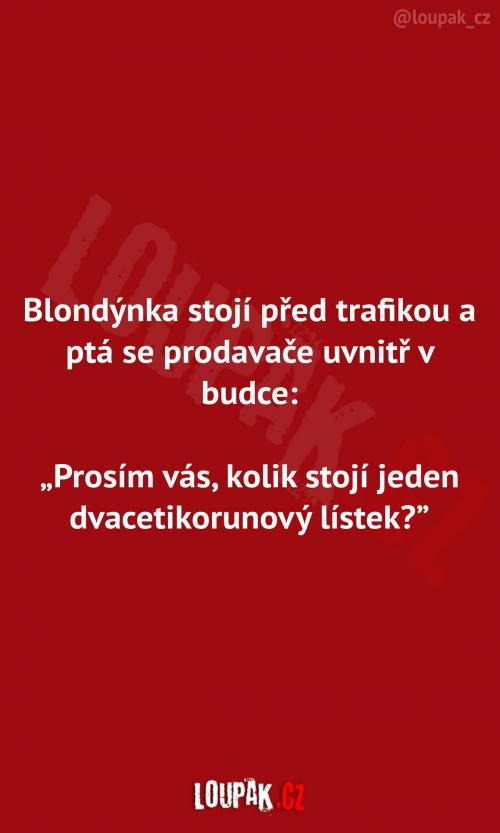 Blondýnka v trafice 