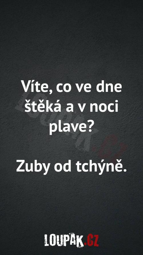  Co ve dne štěká a v noci plave 