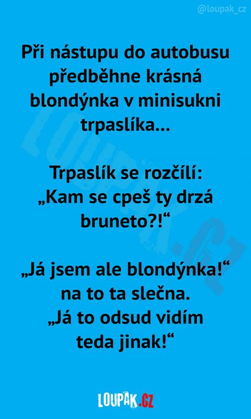  Krásná blondýnka v minisukni 