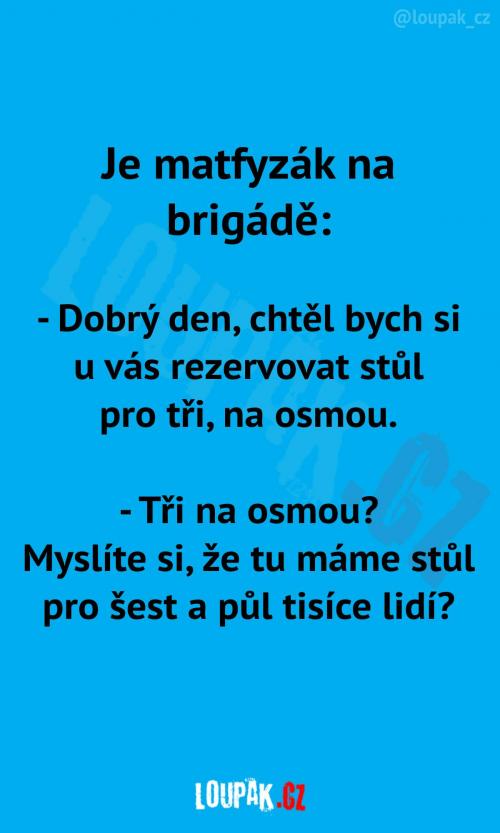 Matfyzák na brigádě...