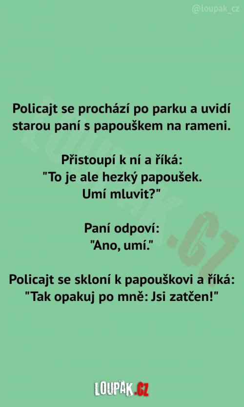  Mluvící papoušek v parku 