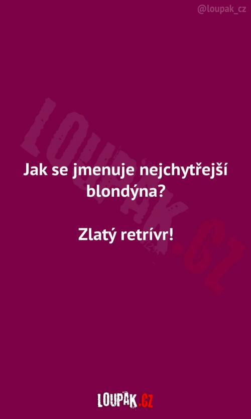 Nejchytřejší blonýnka