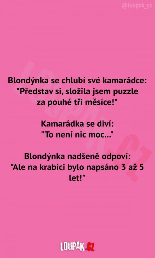  Blondýnka složila puzzle 