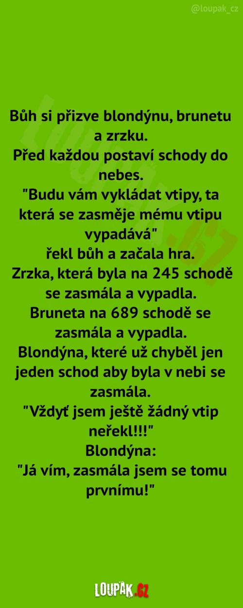  Blondýna, bruneta a zrzka  