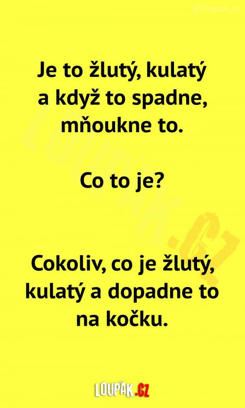 Uhádnete tuhle hádanku?