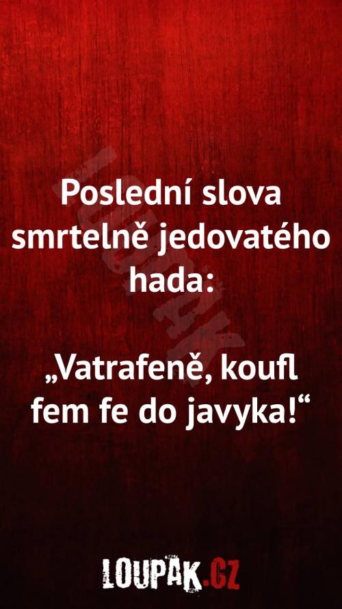  Jaké jsou slova smrtelně jedovatého hada 