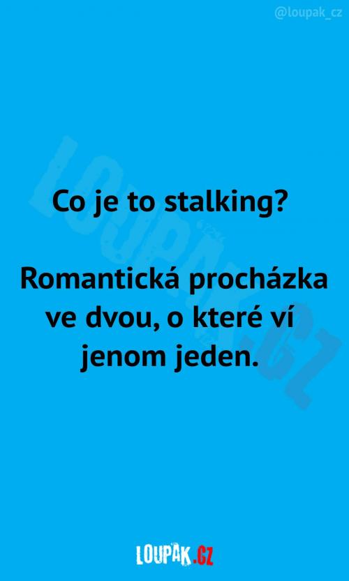  Pravá definice stalkingu 