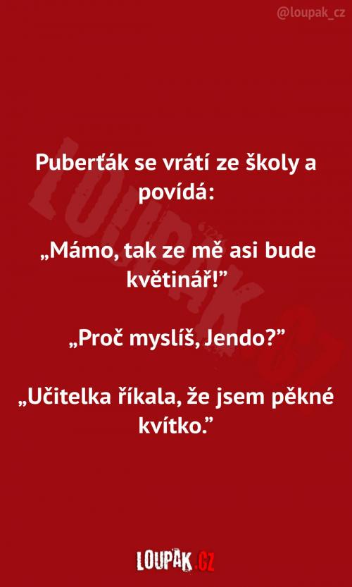  Puberťák ve škole...  