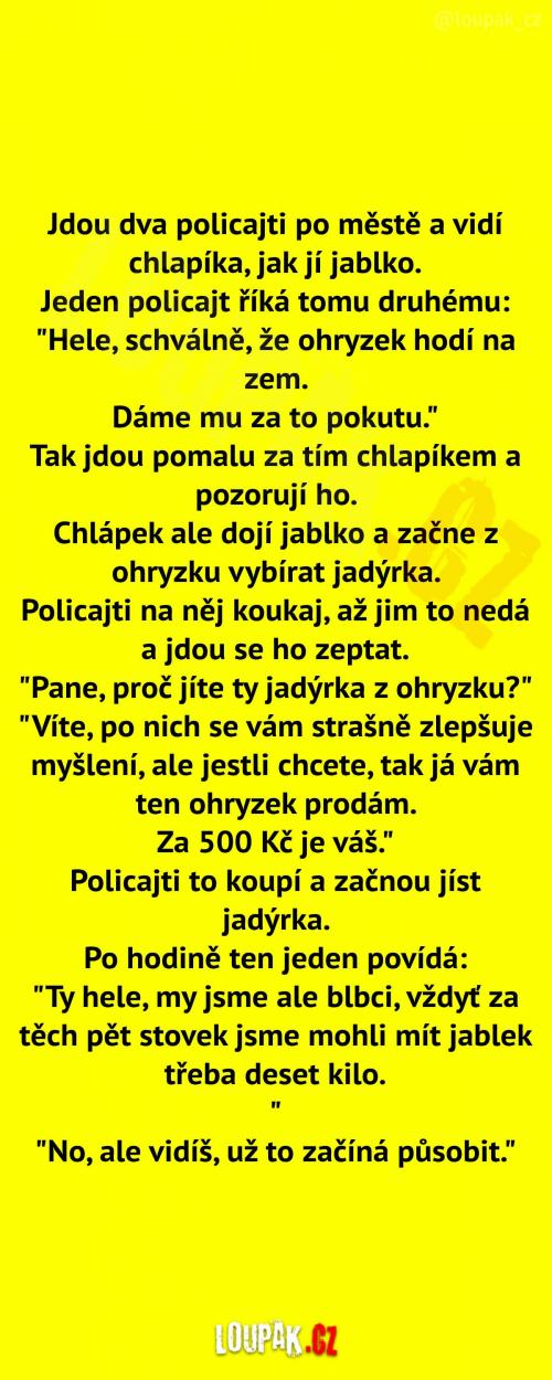 Dva policajti ve městě