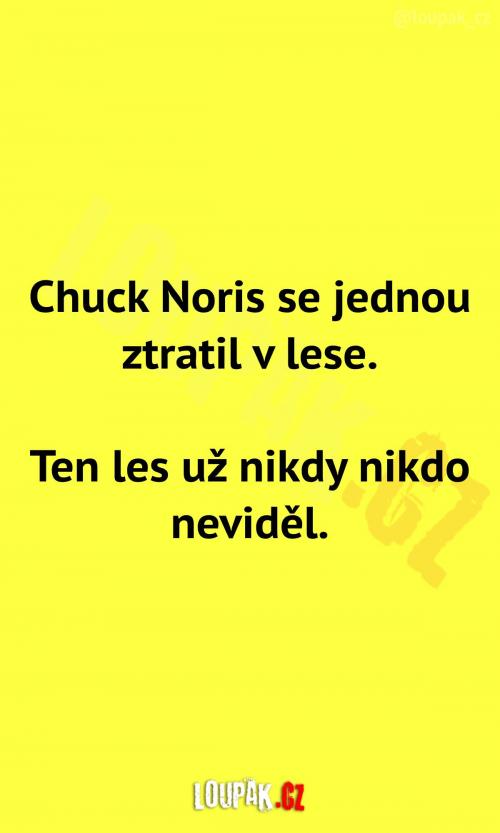  Chuck Norris se ztratil v lese 