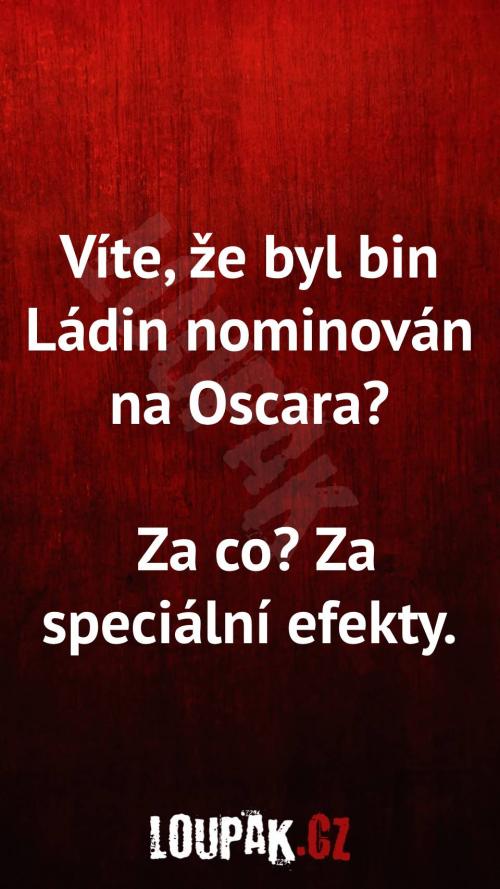  Proč byl bin Ládin nominován na Oscara 