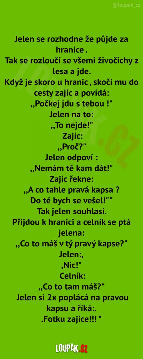 Jelen na hranicích  