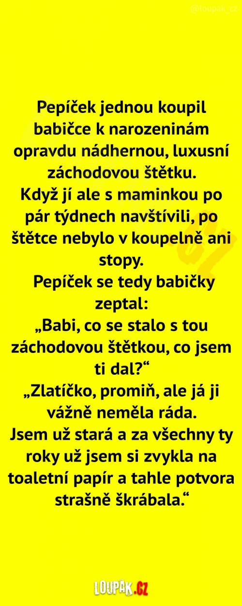 Luxusní záchodová štětka 