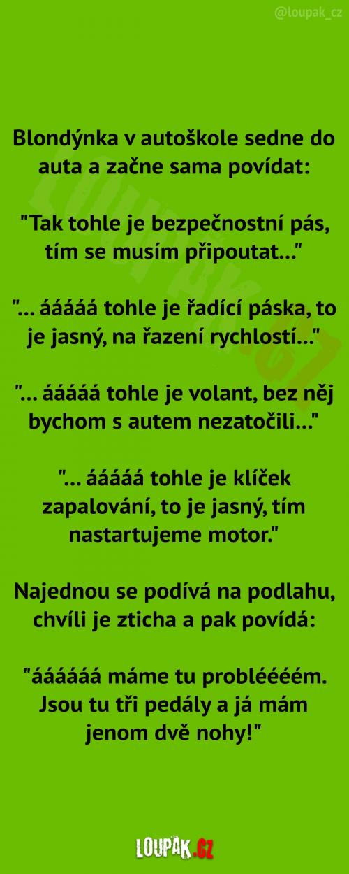 Blondýnka v autoškole 