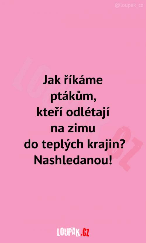  Máte snad nějaké jiné nápady? 