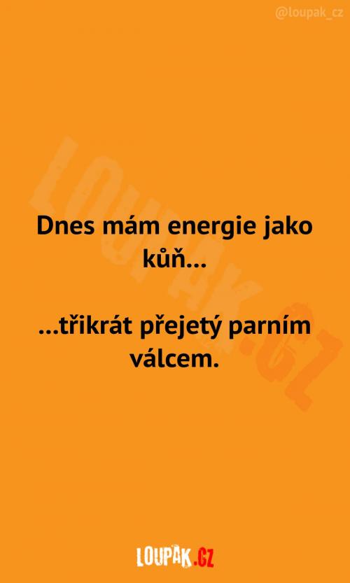  Dnes mám energie jako kůň 