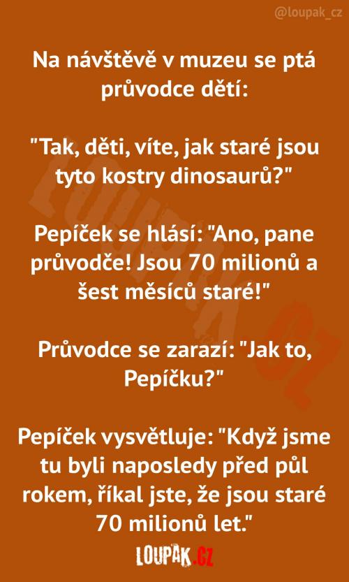  Tady někdo dával pozor  
