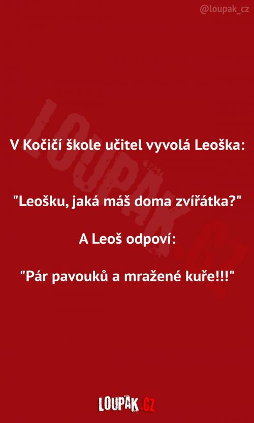  Leoškova zvířátka doma  