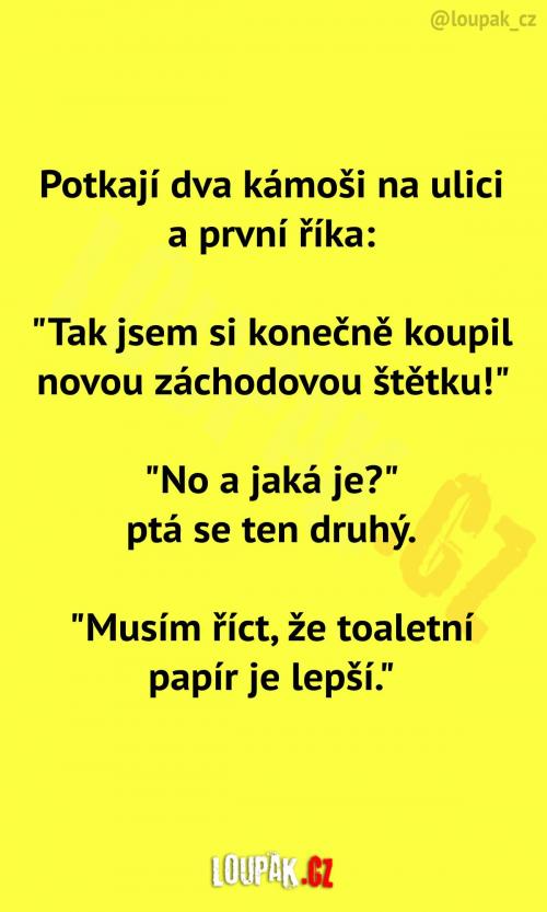  První zkušenost se záchodovou štětkou 
