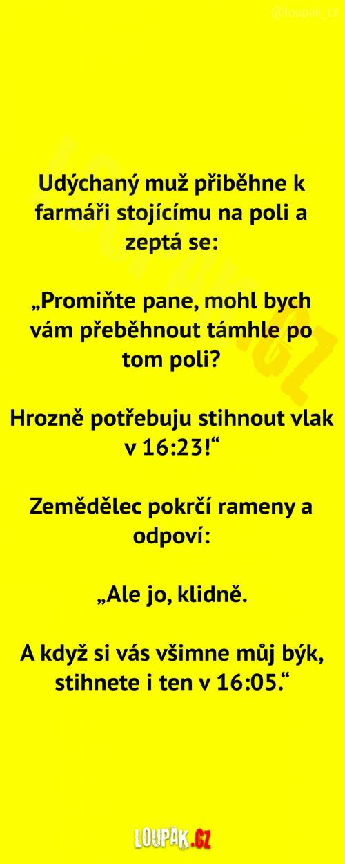 Běhání po poli...   