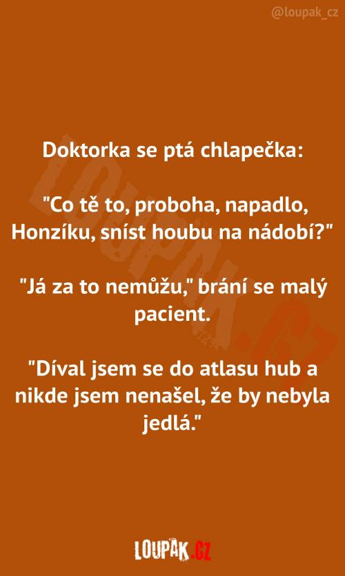 Výborná houba na nádobí 