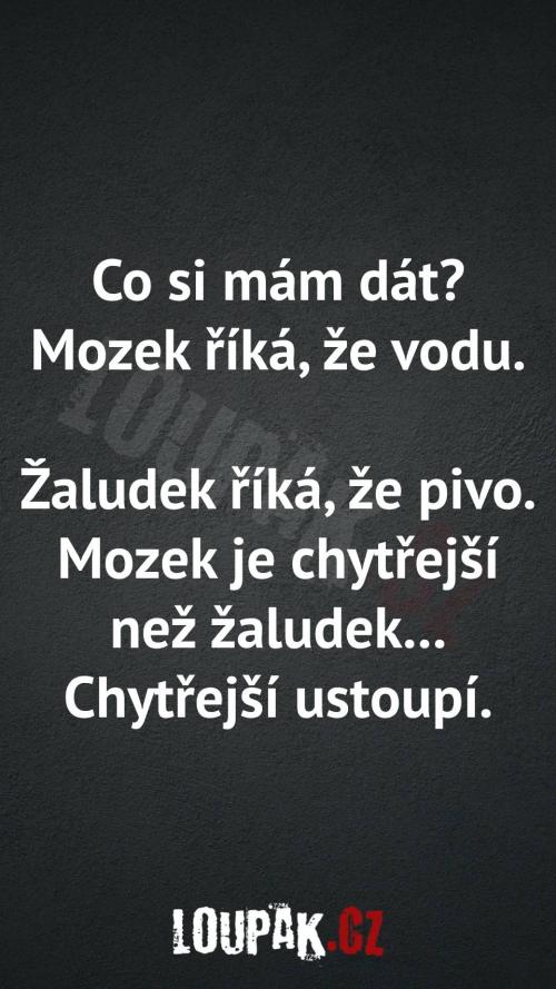 Co si má vůbec dát...