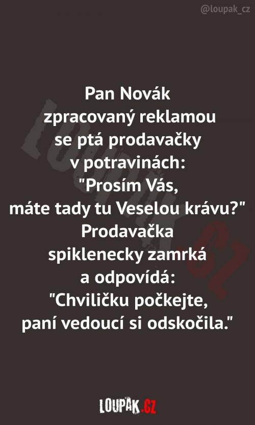  Tuhle pán Novák asi nemyslel 