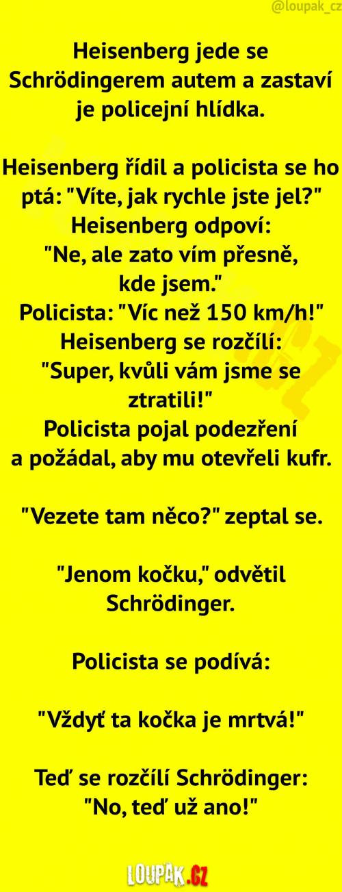 O Schrödingerově kočce