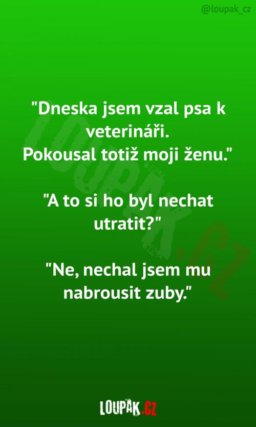  Náš pes pokousal moji ženu... 