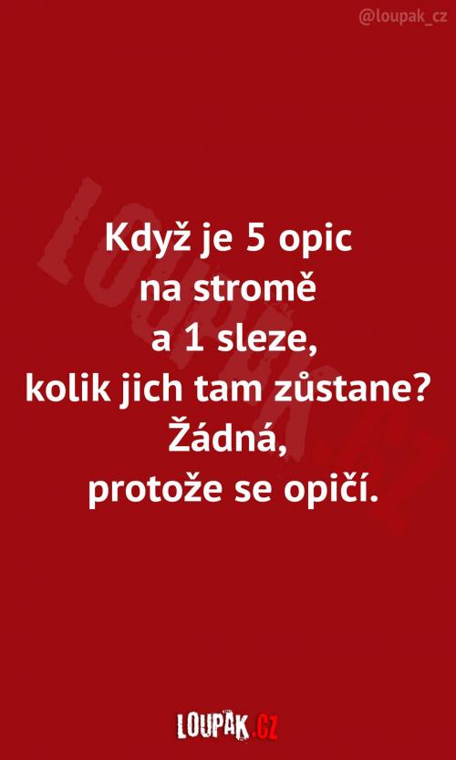  Tak co, odpověděli jste správně? 