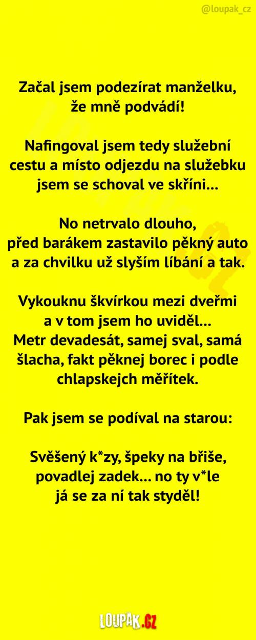  Manželka ho nejspíš podvádí... 