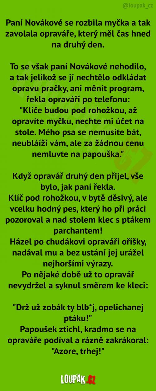  Problémoví mazlíčci p. Novákové 