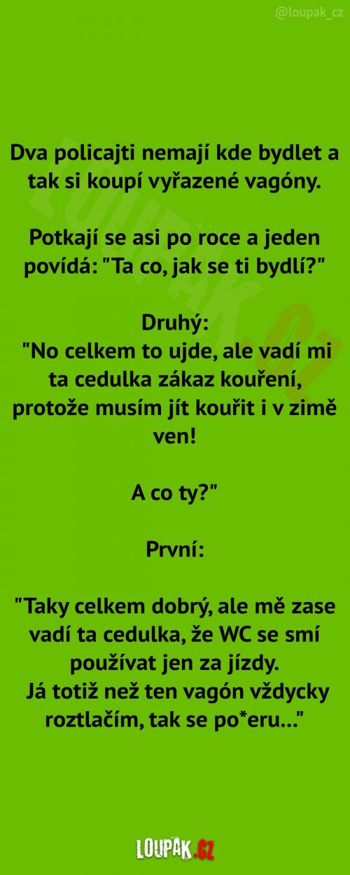  Dva inteligentní policajti  