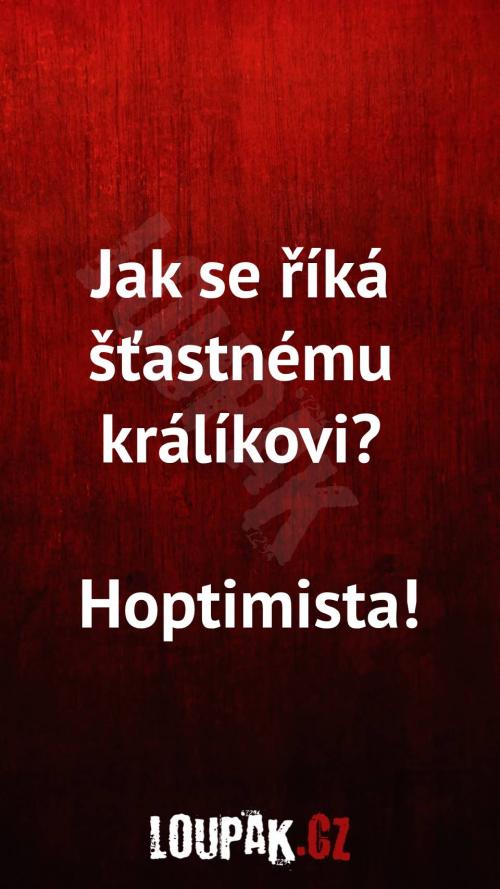  Jak se říká šťastnému králíkovi 