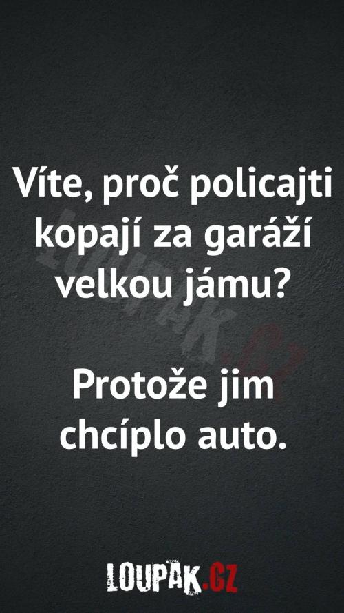  Proč policajti kopají za garáží velkou jámu 