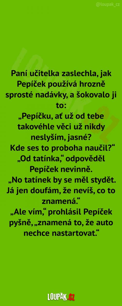  Sprosté nadávky od Pepíčka 