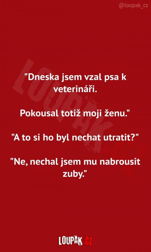  Páníček se psem u veterináře  