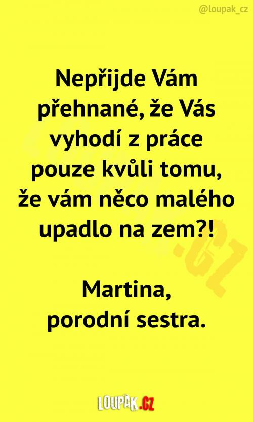  Zbytečný vyhazov z práce 